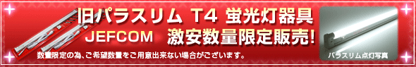 �W�F�t�R�� �p���X���� T4 ���ʌ���̔�