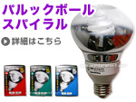 �i�V���i�� �p���b�N�{�[�� �X�p�C����(���t�`)