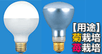 TOKI 電照ランプ