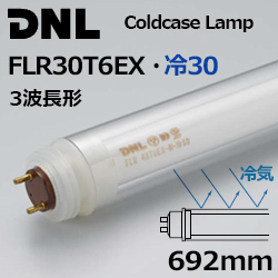 DNCeBO(DNL) FLR30T6EX.30