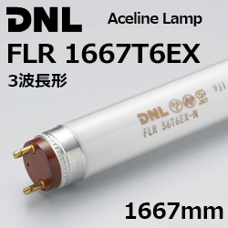 DNCeBO(DNL) FLR1667T6EX G[XCv..