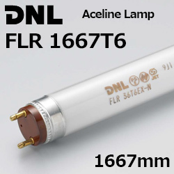 DNCeBO(DNL) FLR1667T6 G[XCv 1..
