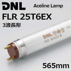 DNCeBO(DNL) FLR25T6EX 3g` 565mm