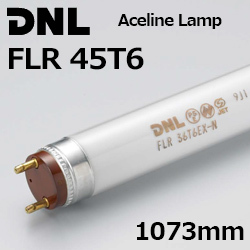 DNCeBO(DNL) G[XCv FLR45T6 107..