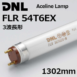 DNCeBO(DNL) FLR54T6EX 3g` G[XC..