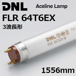 DNCeBO(DNL) FLR64T6EX G[XCv 1..