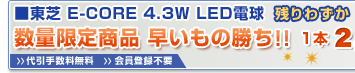 ���� E-CORE 4.3W LED�d���@�����̔����I