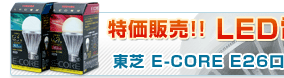 �����̔� ���� E-CORE LED�d�� �ڍ׃y�[�W�͂�����!!