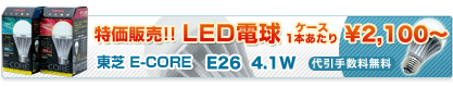 �����̔�!!���� E-CORE LED�d�� 4.1W 6.9W 2,100�~�`