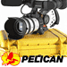 PELICAN
