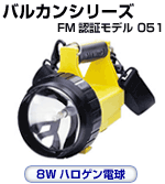 �o���J�� FM�F�؃��f��