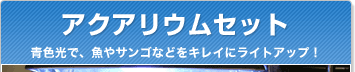 �A�N�A���E���Z�b�g�͂�����