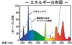 ビオルックス 分布図