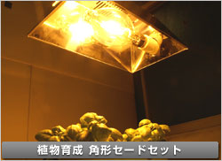角形セードセット