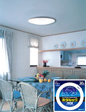 NEC FCL30EDF/28-SHG , ENM , ELR ホタルック 激安価格販売