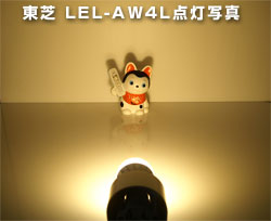 LEL-AW4L �_���ʐ^