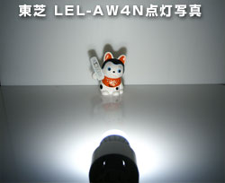 LEL-AW4N �_���ʐ^