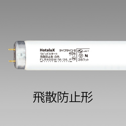 Hotalux  FLR40SW/M/36{Eq CtC