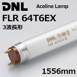 DNCeBO(DNL) FLR64T6EX G[XCv 1..