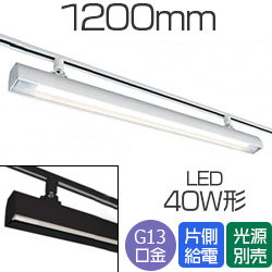 TES LIGHTING 1200mm LEDʔ rA[m ..