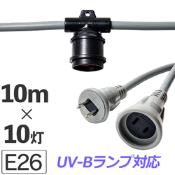 XYf DBS-10-10  XY