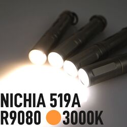 H2T SF TITAN PLUS LED換装カスタム NICHIA 519A (単四