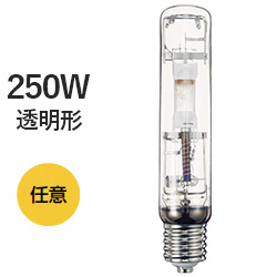 MT250DL AC N[G[X 250W `