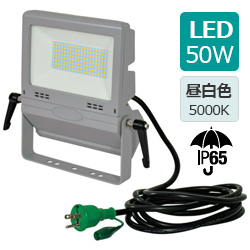 日動工業 LEN-FH50D-SL-50K LEDフラットライト 50W 屋外型 昼白色