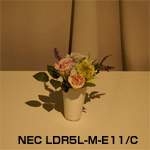NEC LDR5L-M-E11/C