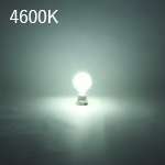 4600K