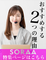 SORAA LEDd@Wy[W͂