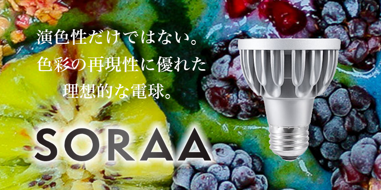 理想的なLED電球、SORAA。
