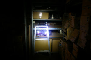 Ǝˋ2m