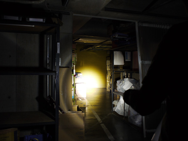 LED LENSER X21R OPT-8421R Professional Series 充電式LED