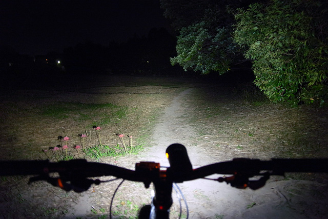 LIGHT&MOTION TAZ1200 (タズ）充電式自転車用LEDライト 激安価格