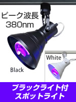 NEC �R�X���{�[��