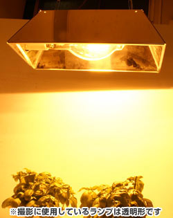 植物育成 角形リフレクターセット FECサンルクスエース 220W 植物育成 角形リフレクターセット FECサンルクスエース 220W