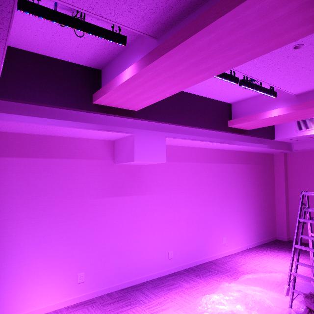 SILVERSTAR(シルバースター) ROXCYC2/TZ LED ウォッシュライト