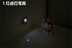 DOT-IT 1���_���ʐ^