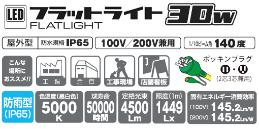 日動工業 LEN-F30D-SL-50K LEDフラットライト 30W 屋外型 昼白色 